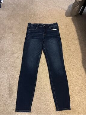American Eagle Outfitters Dark Indigo Skinny Jeans